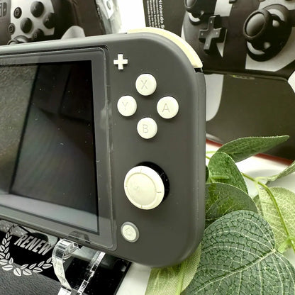 Nintendo Switch Lite Grau